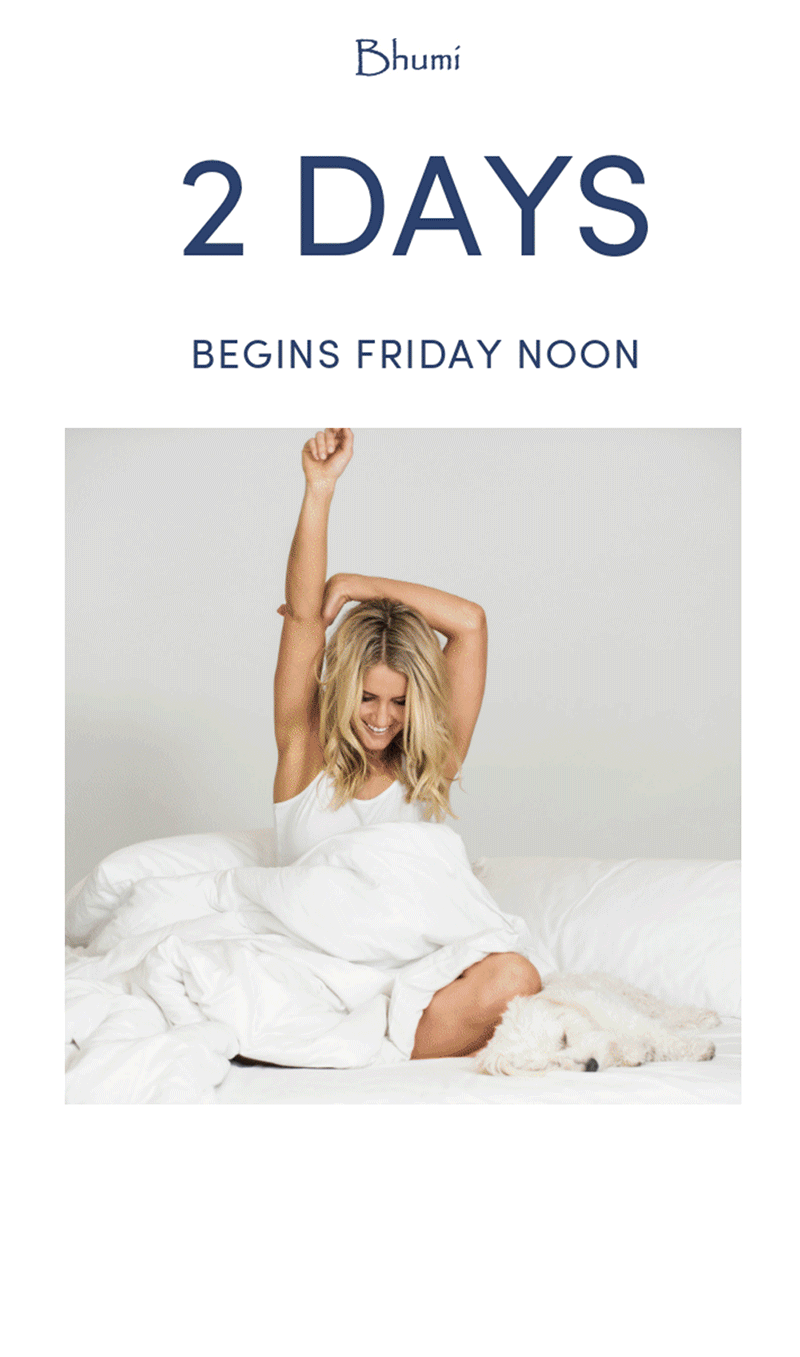 Bhumi email campaign